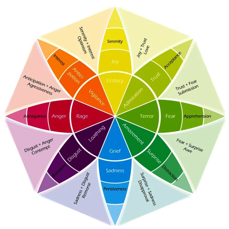 This is a rainbow coloured wheel, it displays a variety of different emotions (Joy, serenity, trust, acceptance, fea, apprehension, surprise, distraction, grief, sadness, disgust, loathing, anger, rage, vigilance, anticipation and lots more)