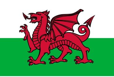 A picture of the Welsh flag, which must be the best flag in the world as it has a big red dragon on it. 